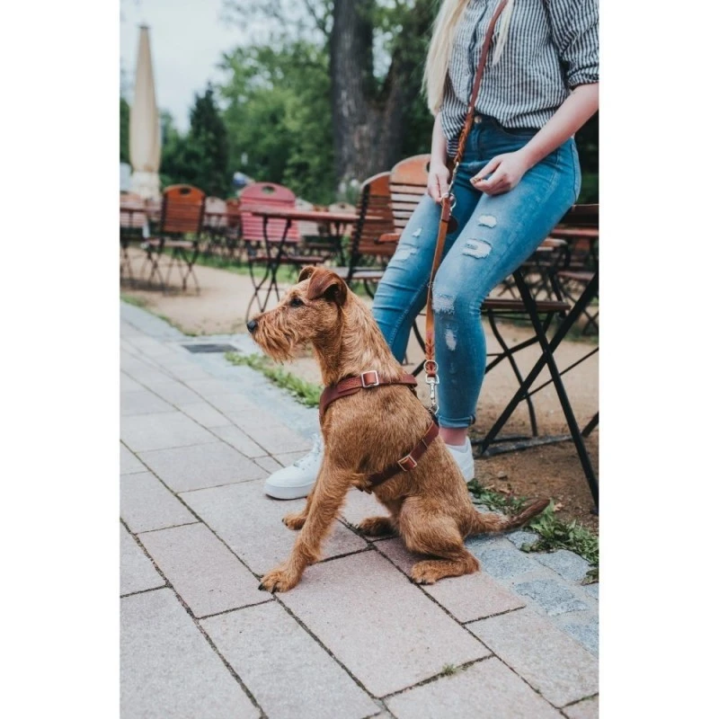 Hunter Hundesele Aalborg cognac XL (M-L/1) - Bryst/hals 58-80 cm